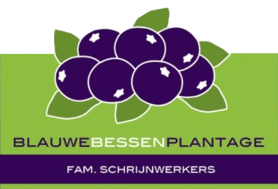 Blauwe bessenplantage Schrijnwerkers