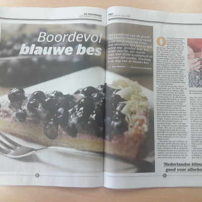 Blauwe bes in de Telegraaf!