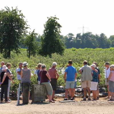 13 en 14 juli 2019 - de fruitigste zachtfruitdagen