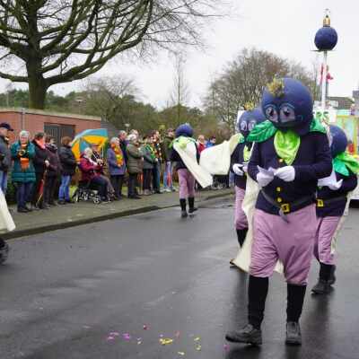 Blauwe bessen in carnavalsoptocht