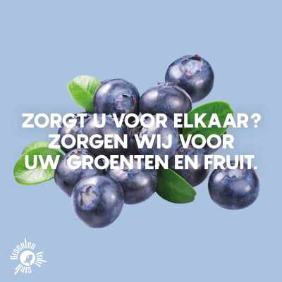 Blauwe bessen in campagne Groenten Fruit Huis